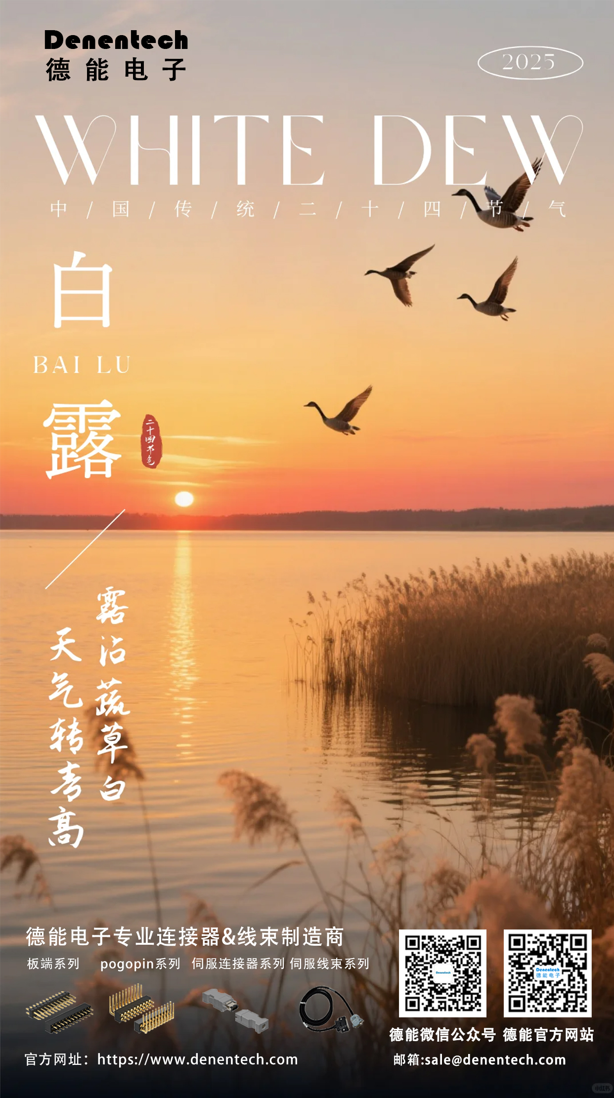白露.jpg