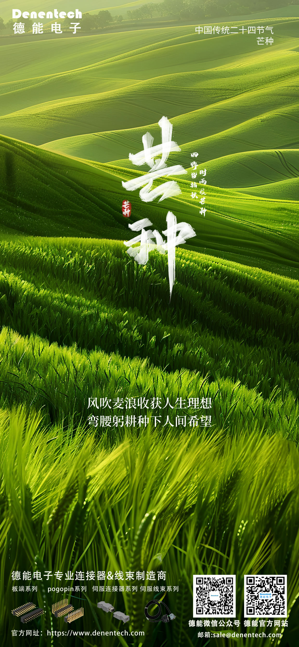 2025 芒种.jpg